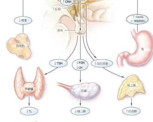 2026年甘肃不需要结婚证三代试管婴儿医院名录！有需要私我！ 供卵助孕医院排名榜